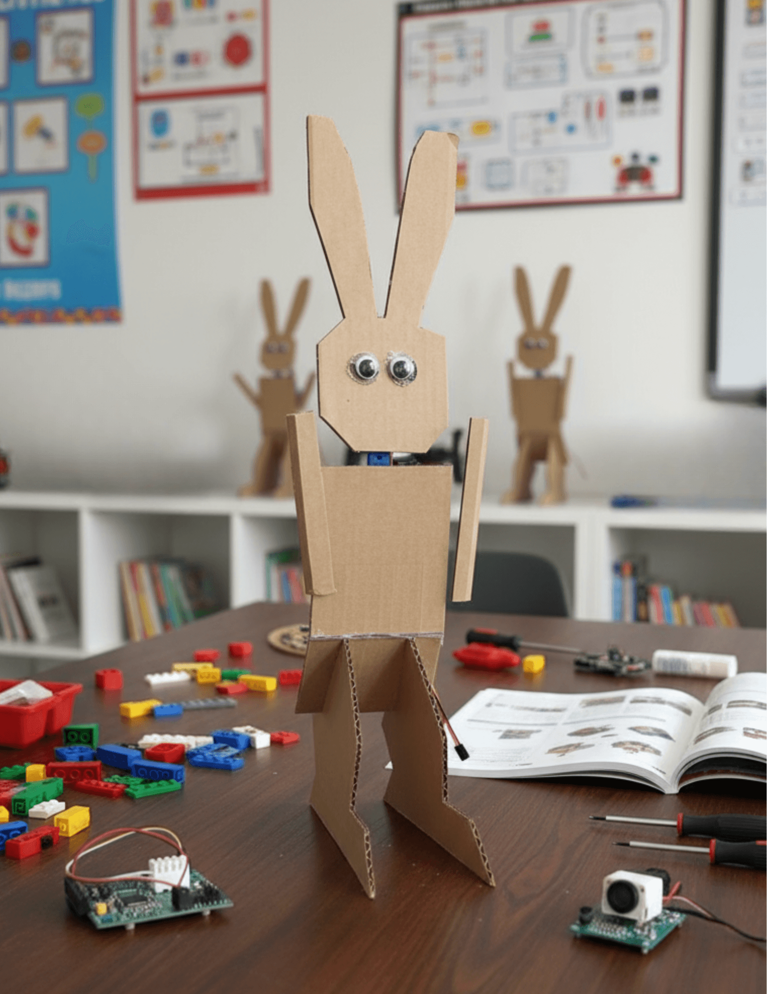 Student's first robotics project - Bunny